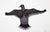 Untitled (Flying Bird) by Pee Ashevak 113 Artist from Cape Dorset, 2017