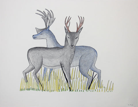 Untitled (Two Caribou)