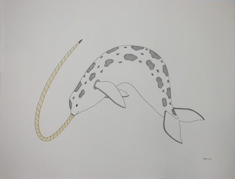 Untitled (Narwhal)