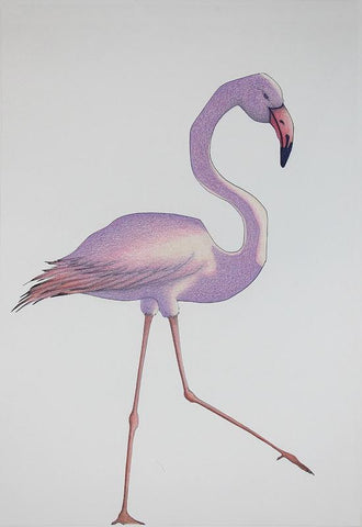Untitled (Flamingo) by Padloo Samayualie
