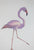 Untitled (Flamingo) by Padloo Samayualie