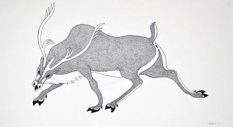 Untitled (Caribou) by Quvianaqtuk Pudlat