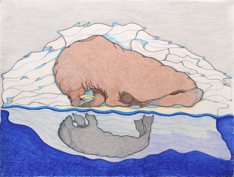 Untitled (Walrus and Pup)