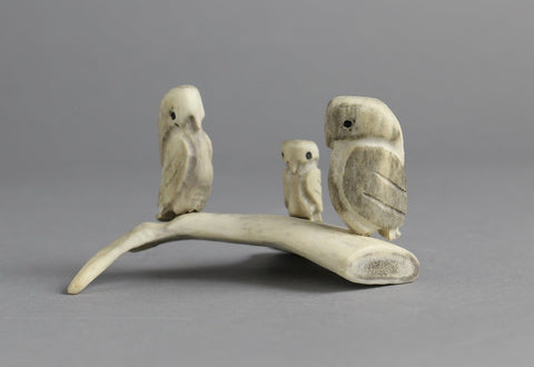 Owls by Shoonai P