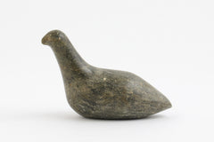 Bird by Unidentified