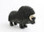 Muskox