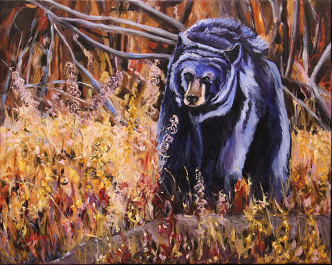 Black Bear in Blue