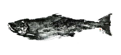 Salmon Upstream