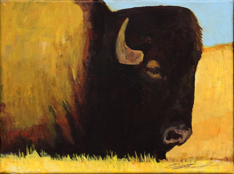 Untitled (Buffalo in Prairie)