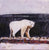 Untitled (Polar Bear)