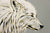 Dreaming of a White Wolf