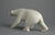 35. Striding Bear