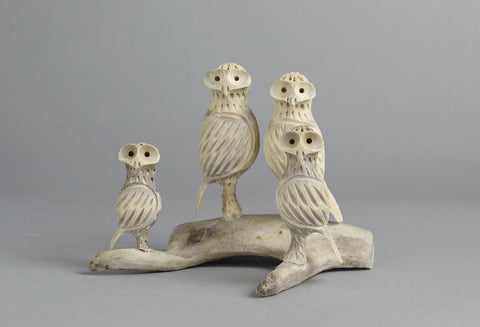 Owls by Elisha Ipeelee
