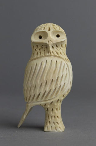 Owl by Elisha Ipeelee