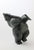 Dancing Bear