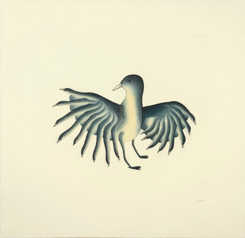 Shorebirds, Cape Dorset  2011