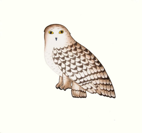 Noble Owl by Pauojoungie Saggiak