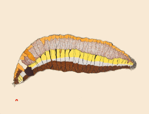 Woollybear Caterpillar, 2014 by Papiara Tukiki
