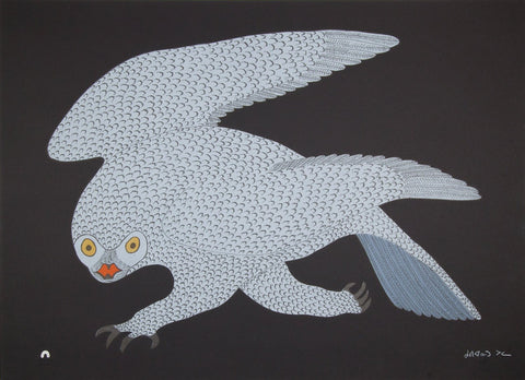 Stalking Owl by Quvianaqtuk Pudlat