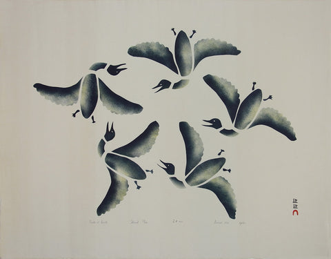 Circle of Birds