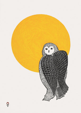  Sunlit Owl by Pee Ashevak