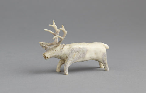 Reindeer