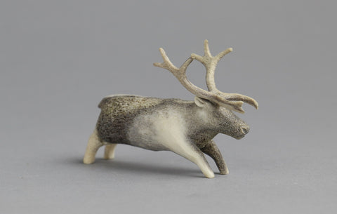 Reindeer