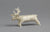 Sirtya Reindeer