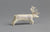 Sirtya Reindeer
